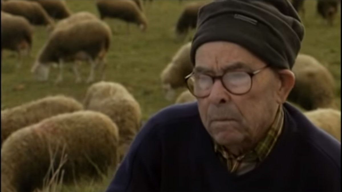 El documental 'De pastores, perros y rebaño' se podrá ver a partir del 21 de julio. | L.N.C.