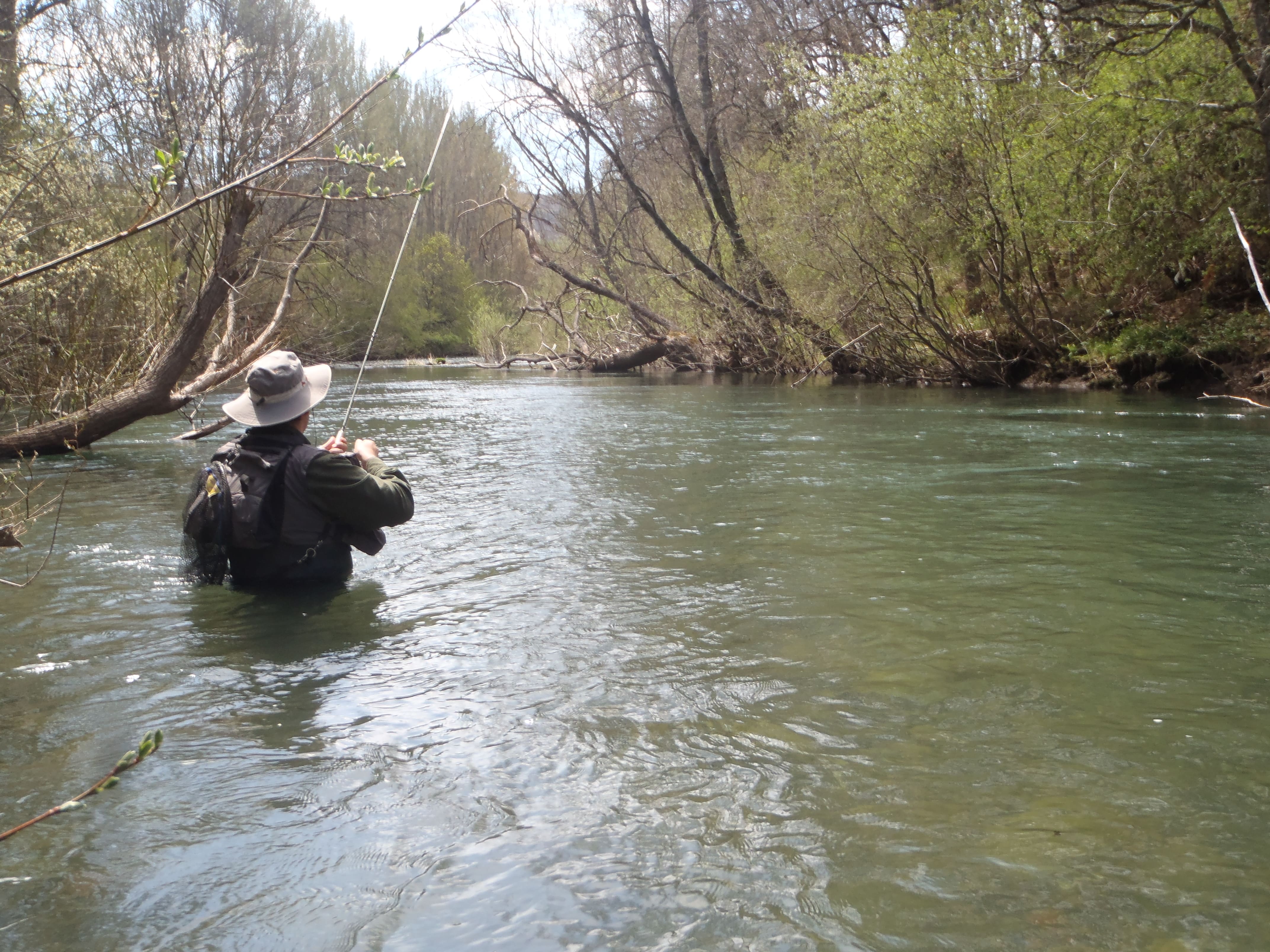 Ríos con caudales altos y poca pesca. Río Torío. RPN
