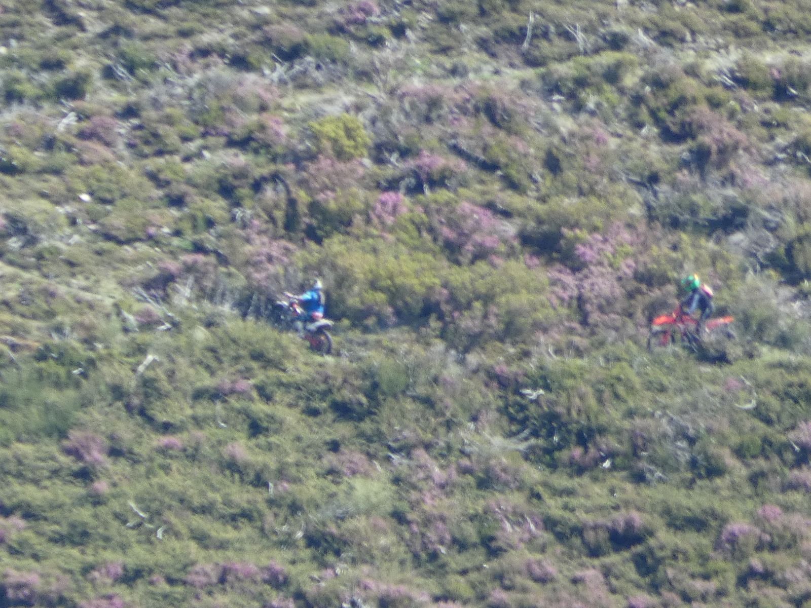 Motos avistadas por los agentes