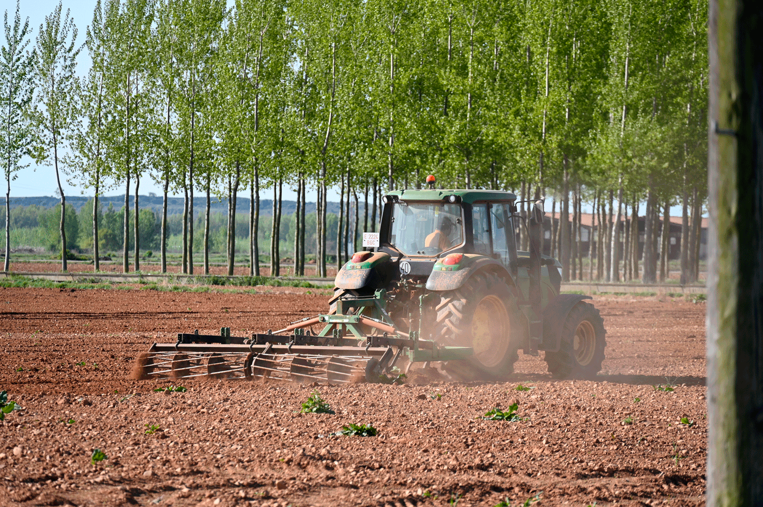 Un agricultor preparando el terreno para la siembra. | SAÚL ARÉN