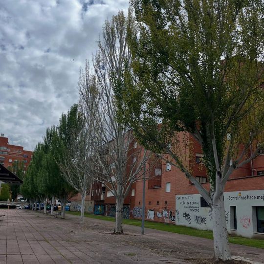 497052662 18351066322197895 7932263679250765496 n