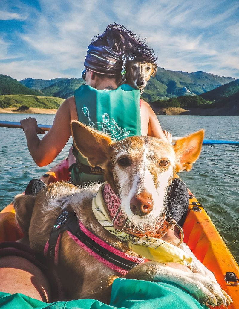 Una viajera con sus dos perros en una de las actividades de piragüismo. | L.N.C.