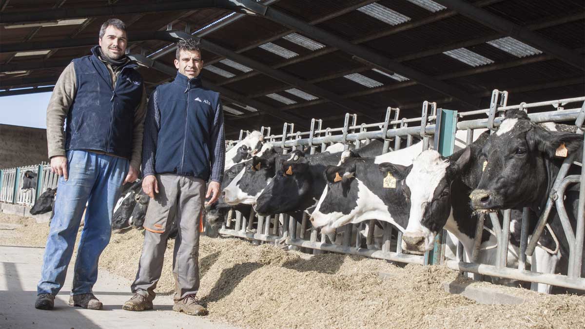 Dos jóvenes propietarios de una explotación láctea de la provincia. | TERESA GIGANTO