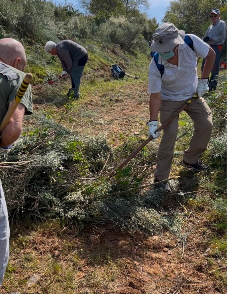 Desbroces realizados en la senda. Desbroces realizados en la senda.