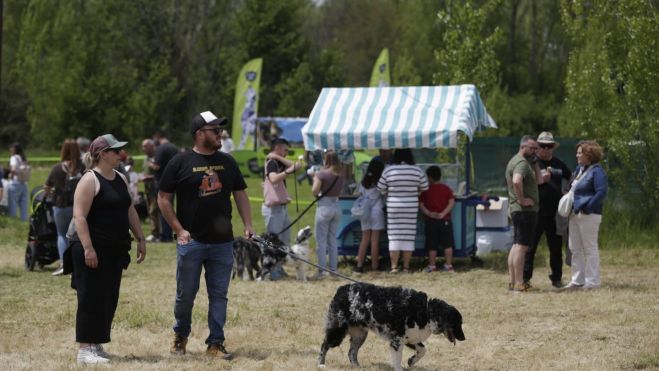 Centenares de personas acudieron con sus perros a la feria. | FERNANDO OTERO Centenares de personas acudieron con sus perros a la feria. | FERNANDO OTERO