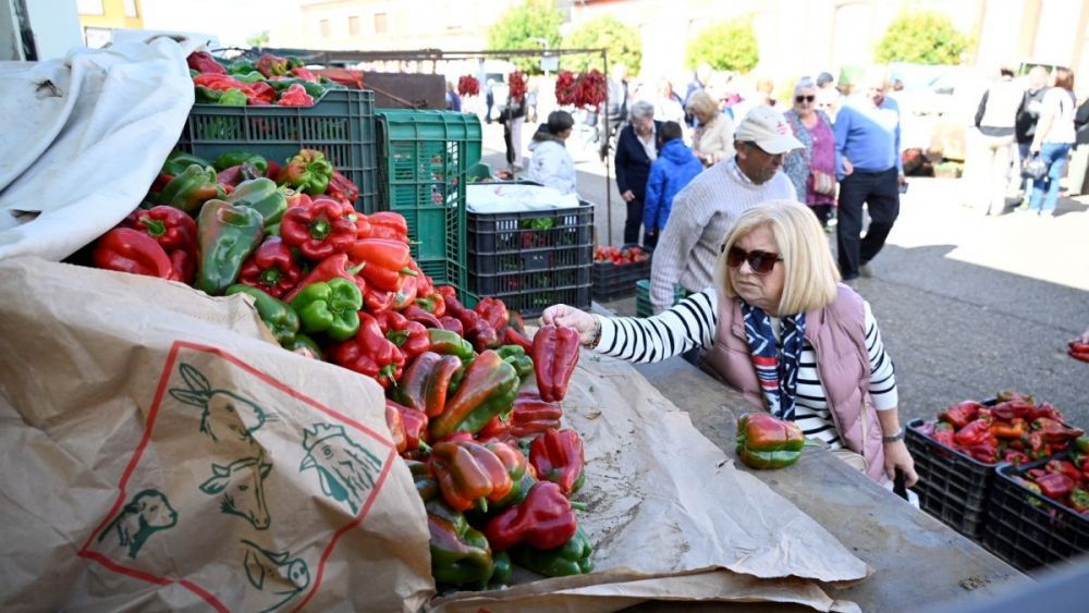 Miles de personas acuden a esta feria para hacerse con los mejores pimientos de la zona. | SAÚL ARÉN