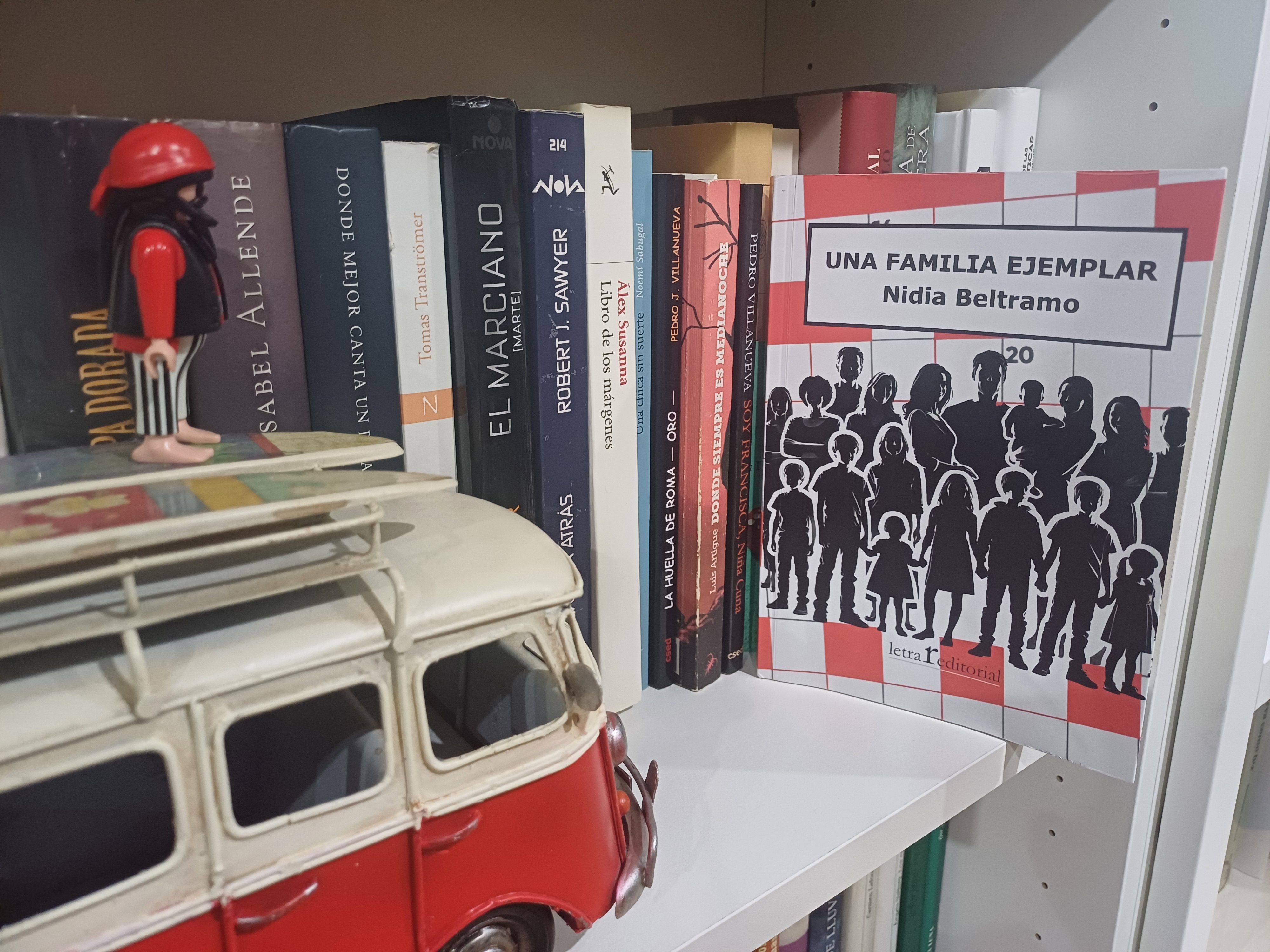 Portada del libro protagonista en la estantería de Ruy. 