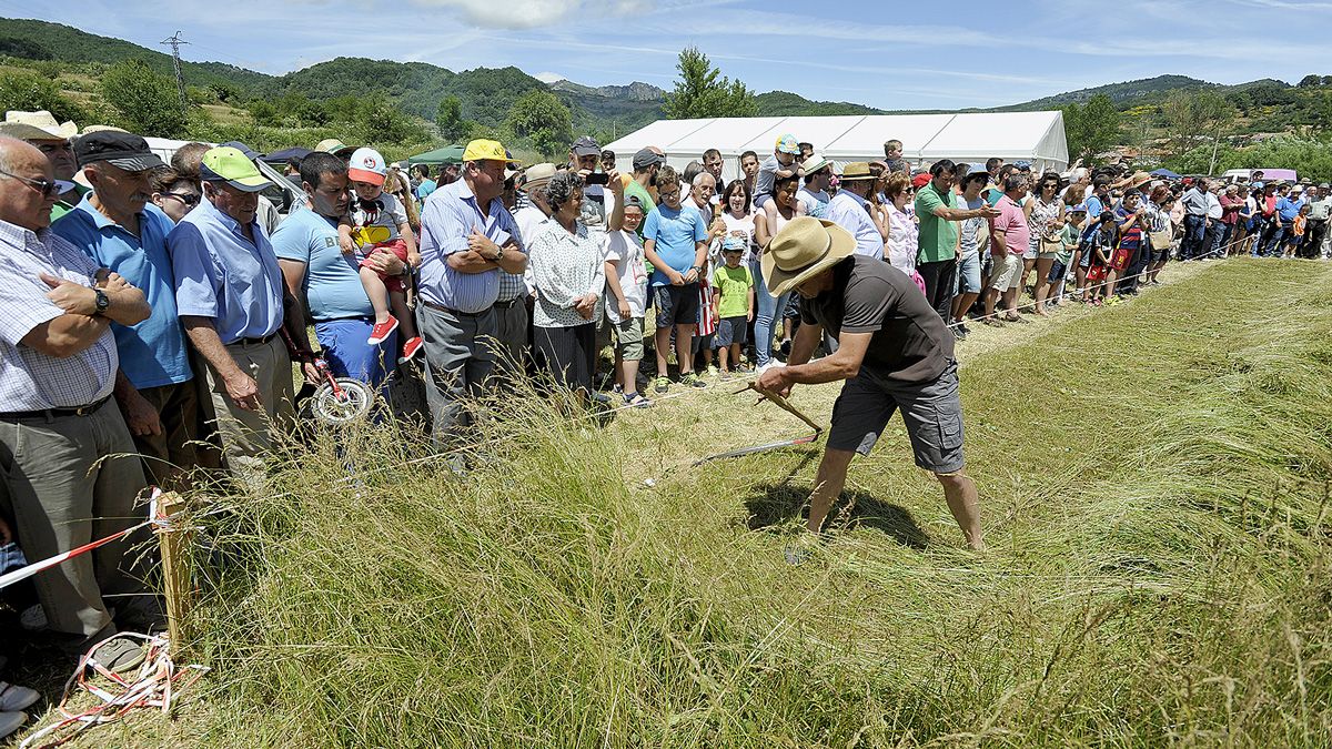 El concurso de siega con guadaña fue una de las actividades que más público congregó en la Fiesta de la Trashumancia. |DANIEL MARTÍN El concurso de siega con guadaña fue una de las actividades que más público congregó en la Fiesta de la Trashumancia. |DANIEL MARTÍN