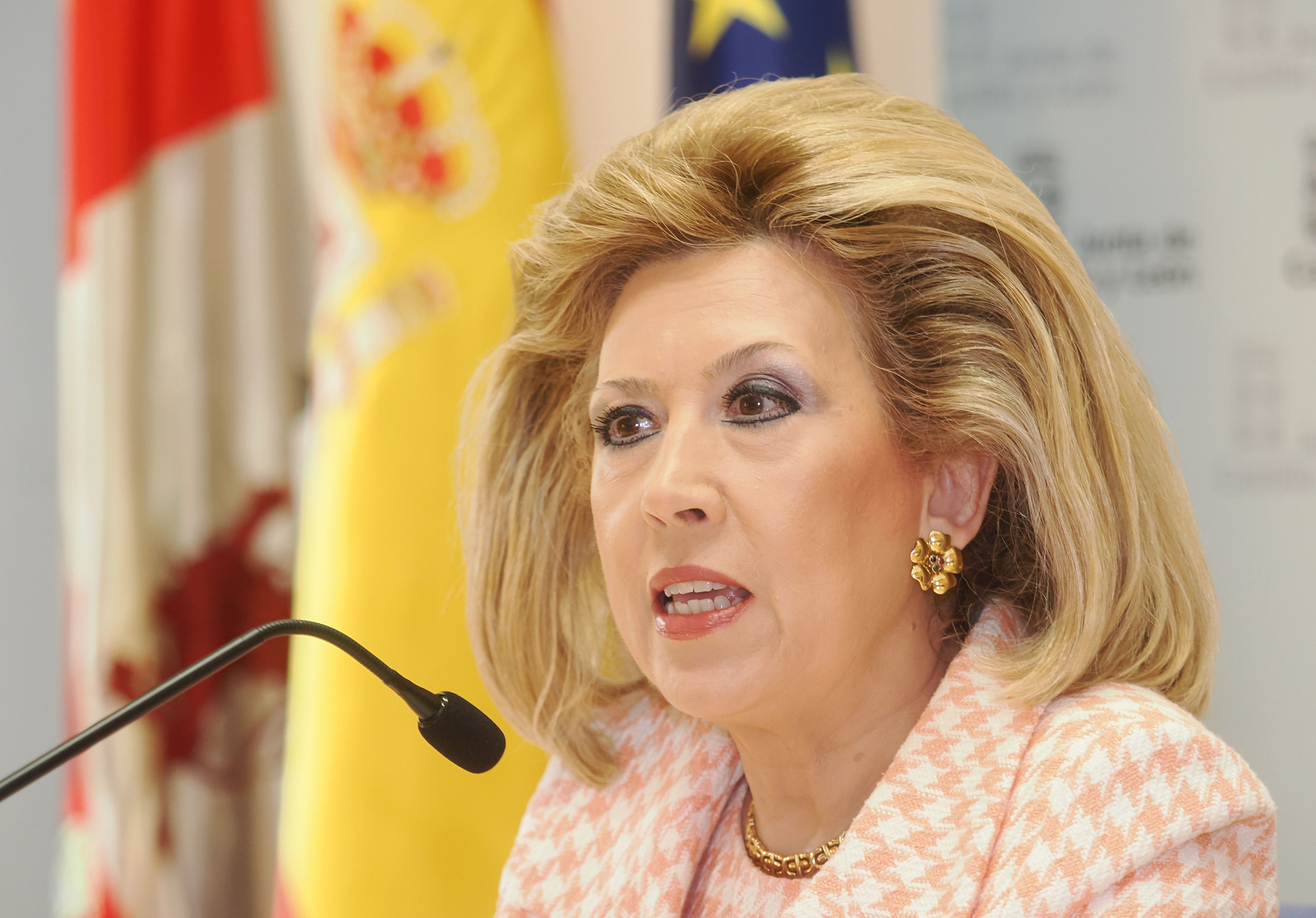 La gerente regional de Salud, Violeta Martínez Pindado. | ICAL