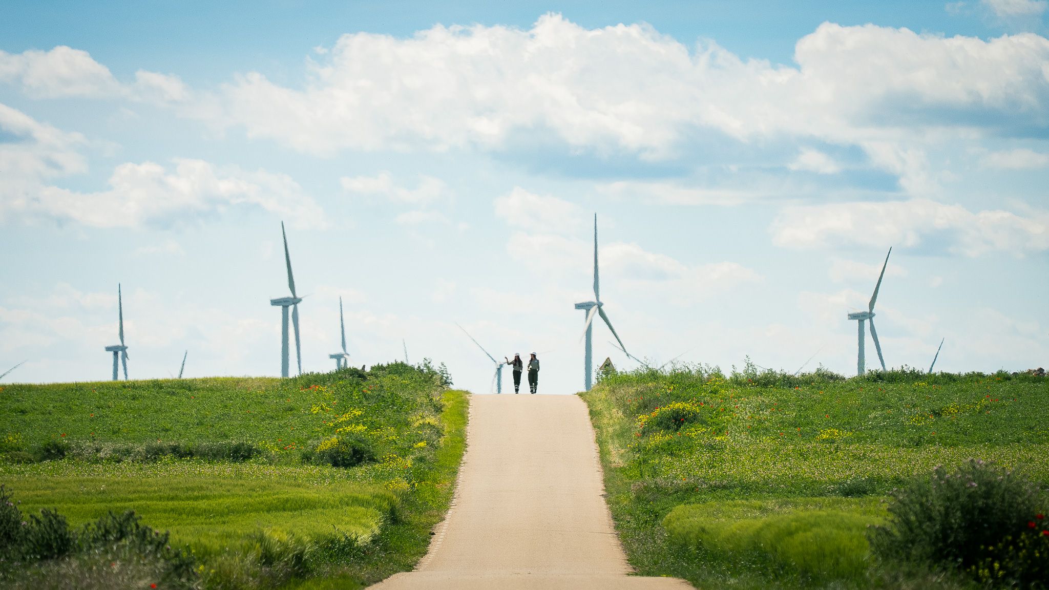 En la fotografía, imagen de un de los parques eólicos impulsados por Iberdrola.