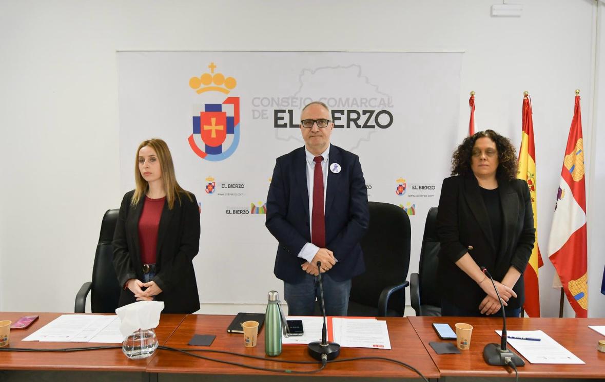 Uno de los plenos del Consejo Comarcal del Bierzo. | J.F.