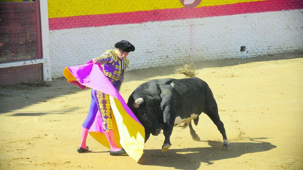 El sábado llegará el momento más esperado por los amantes de la tauromaquia con la corrida de toros con seis ejemplares bravos de la ganadería Valdellán. | MAURICIO PEÑA