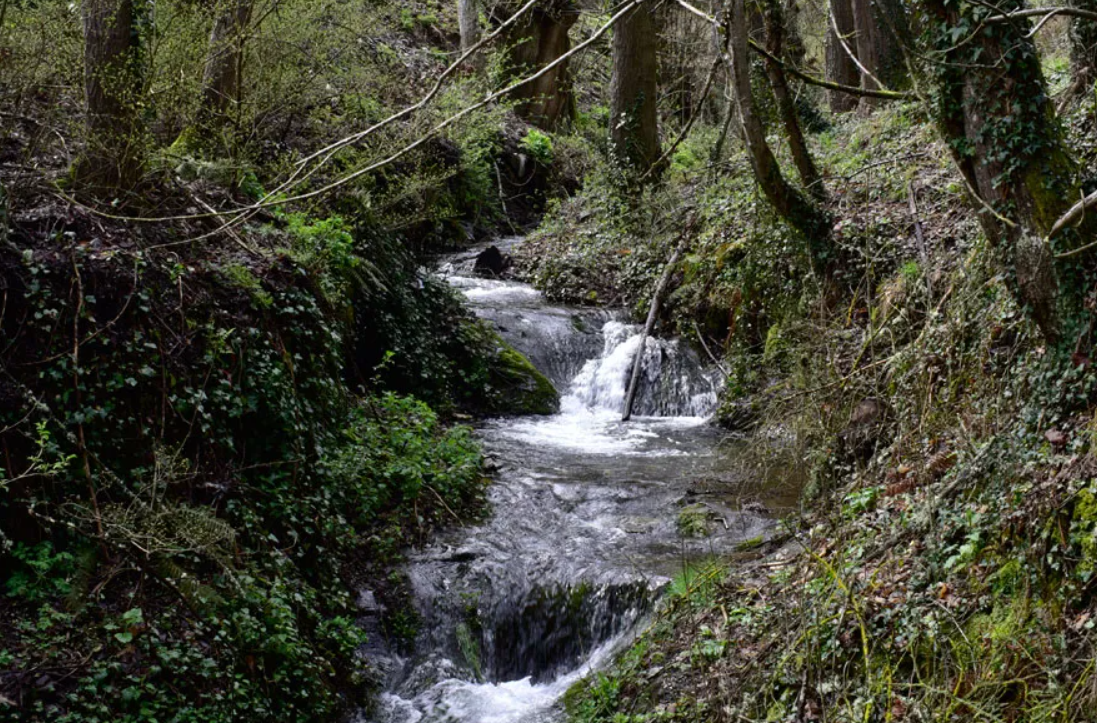 Río Oza a su paso por el valle que lleva el mismo nombre. | Ayto. Ponferrada