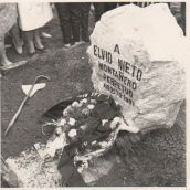 Campo Danzas Campo Danzas