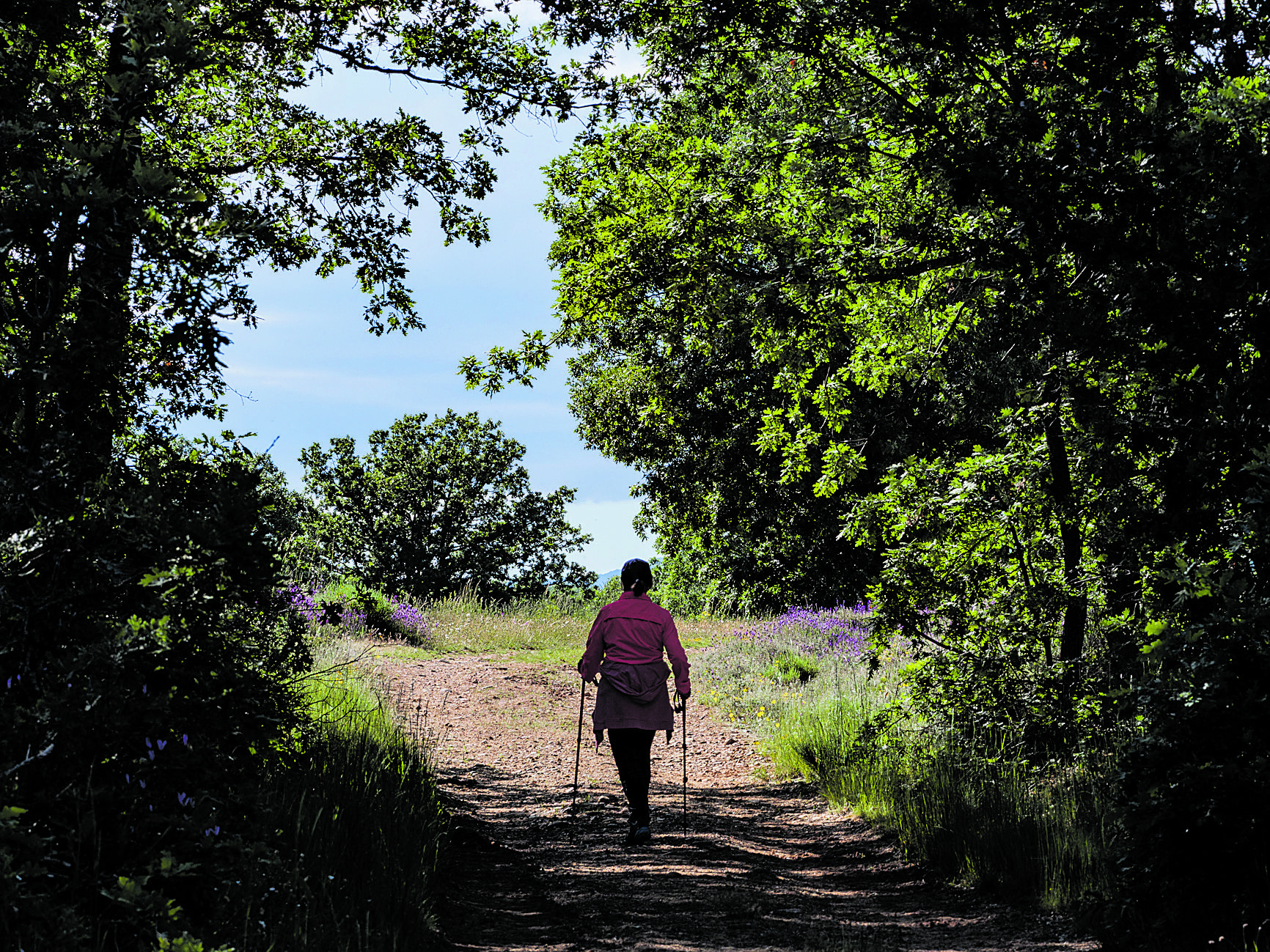 Cualquiera de los pueblos del municipio nos brindan posibilidades de practicar paseos naturalísticos.| VICENTE GARCÍA