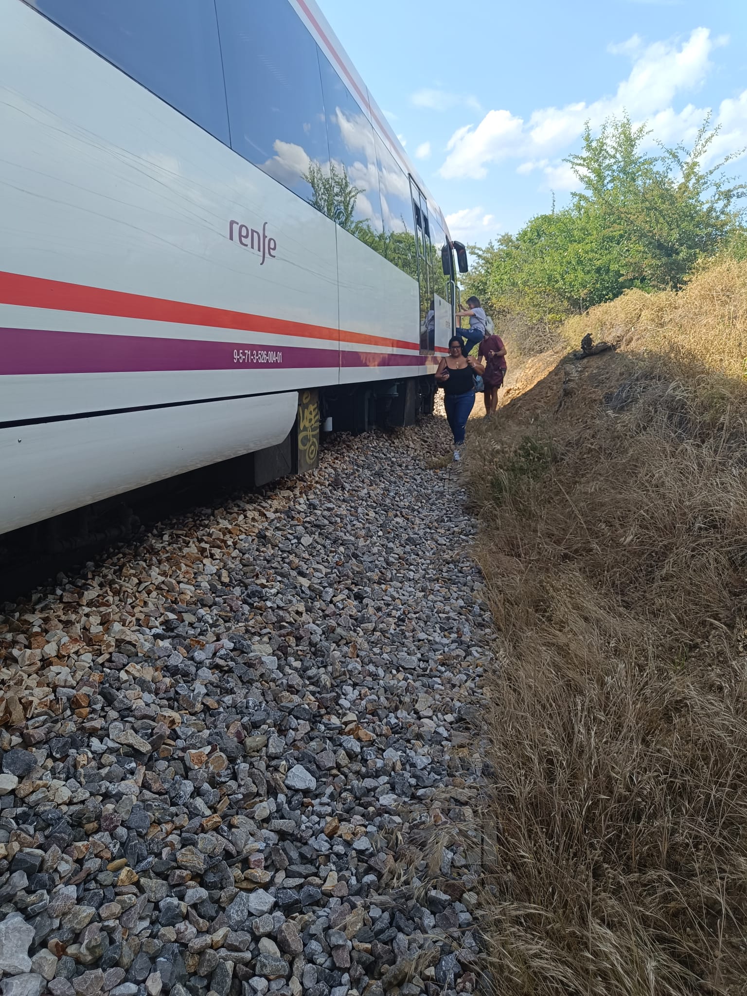 Descarrila un tren de Feve en el municipio de La Ercina, León. | L.N.C.