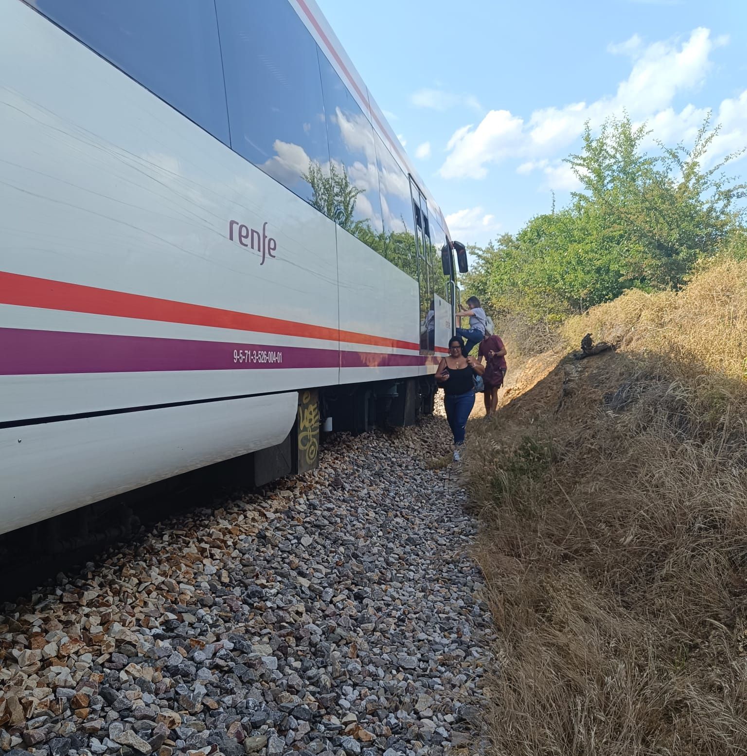 Imagen del tren que descarriló el pasado viernes entre Boñar y La Ercina. | L.N.C.