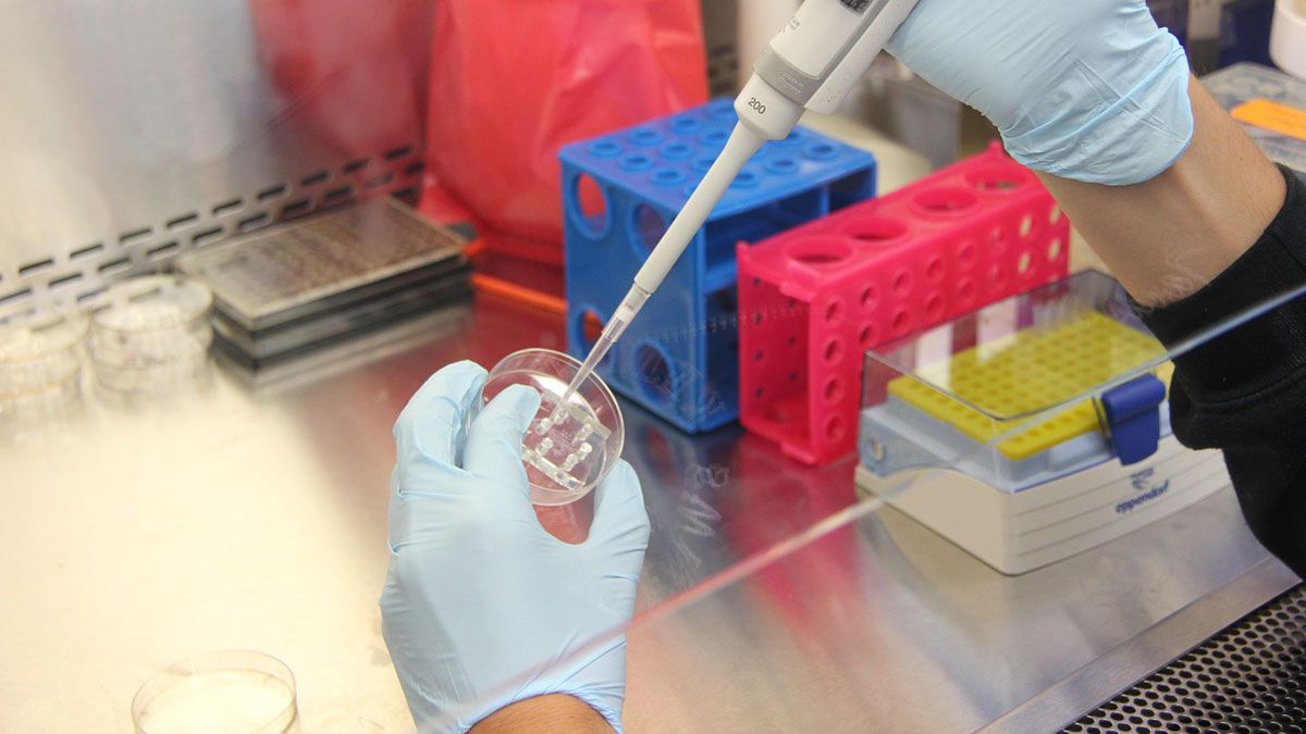 Convocados los Premios 'Mariano Rodríguez'.