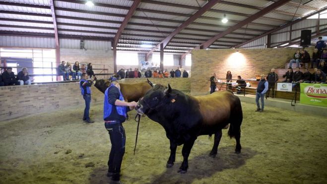 Imagen de archivo de un certamen de Asturiana de los Valles en Villablino. | MAURICIO PEÑA