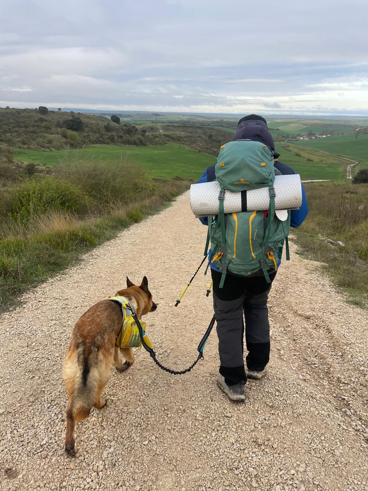 Peregrino con un perro caminante.