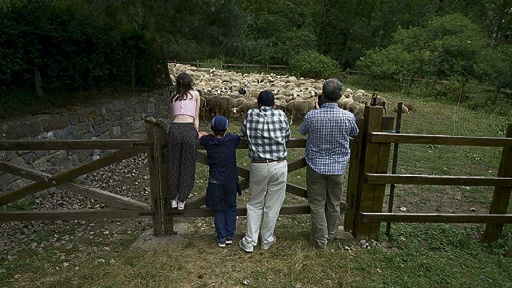 Imagen de una jornada sobre trashumancia celebrada en Salamón. | MAURICIO PEÑA