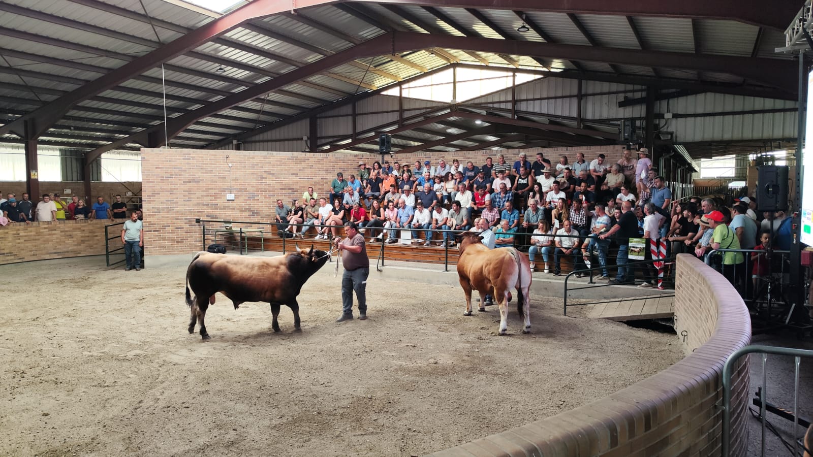 Un instante del evento celebrado este sábado en Villablino. | L.N.C.