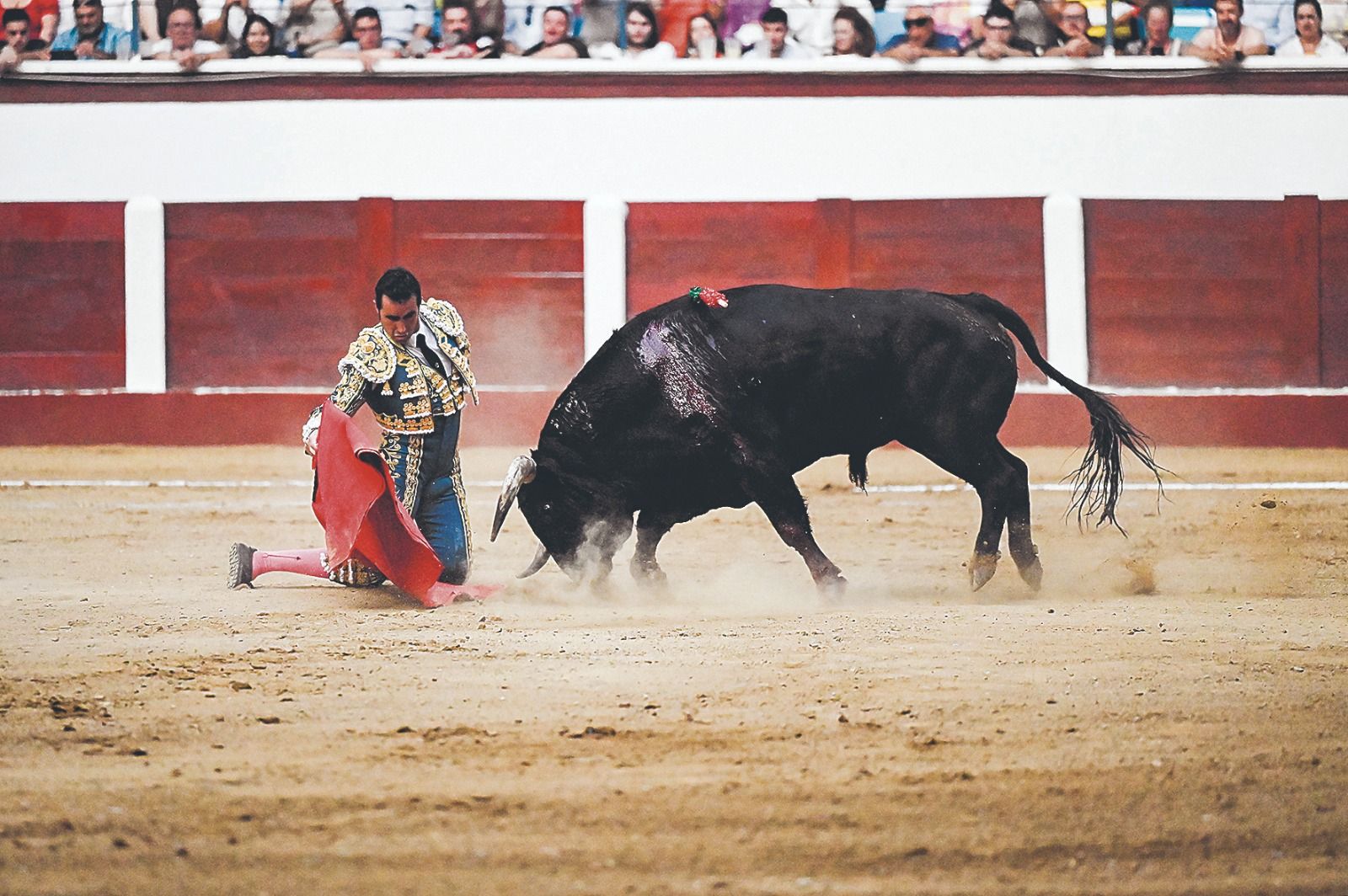 El Fandi toreando de hinojos en un inicio de faena | SAÚL ARÉN