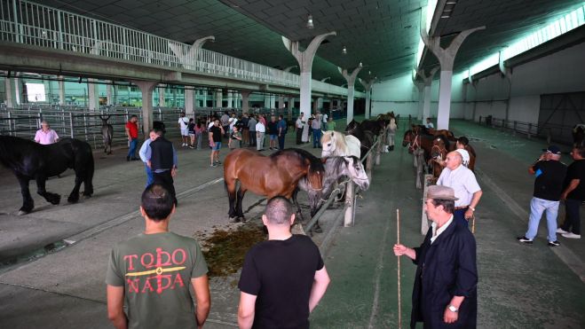 WhatsApp Image 2025 06 24 at 12.06.23