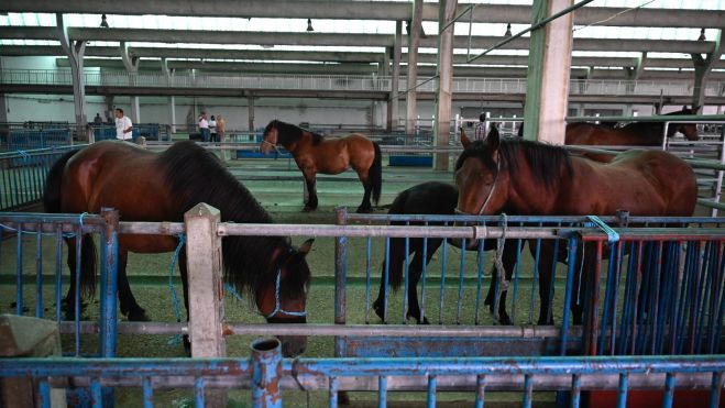 WhatsApp Image 2025 06 24 at 12.06.21