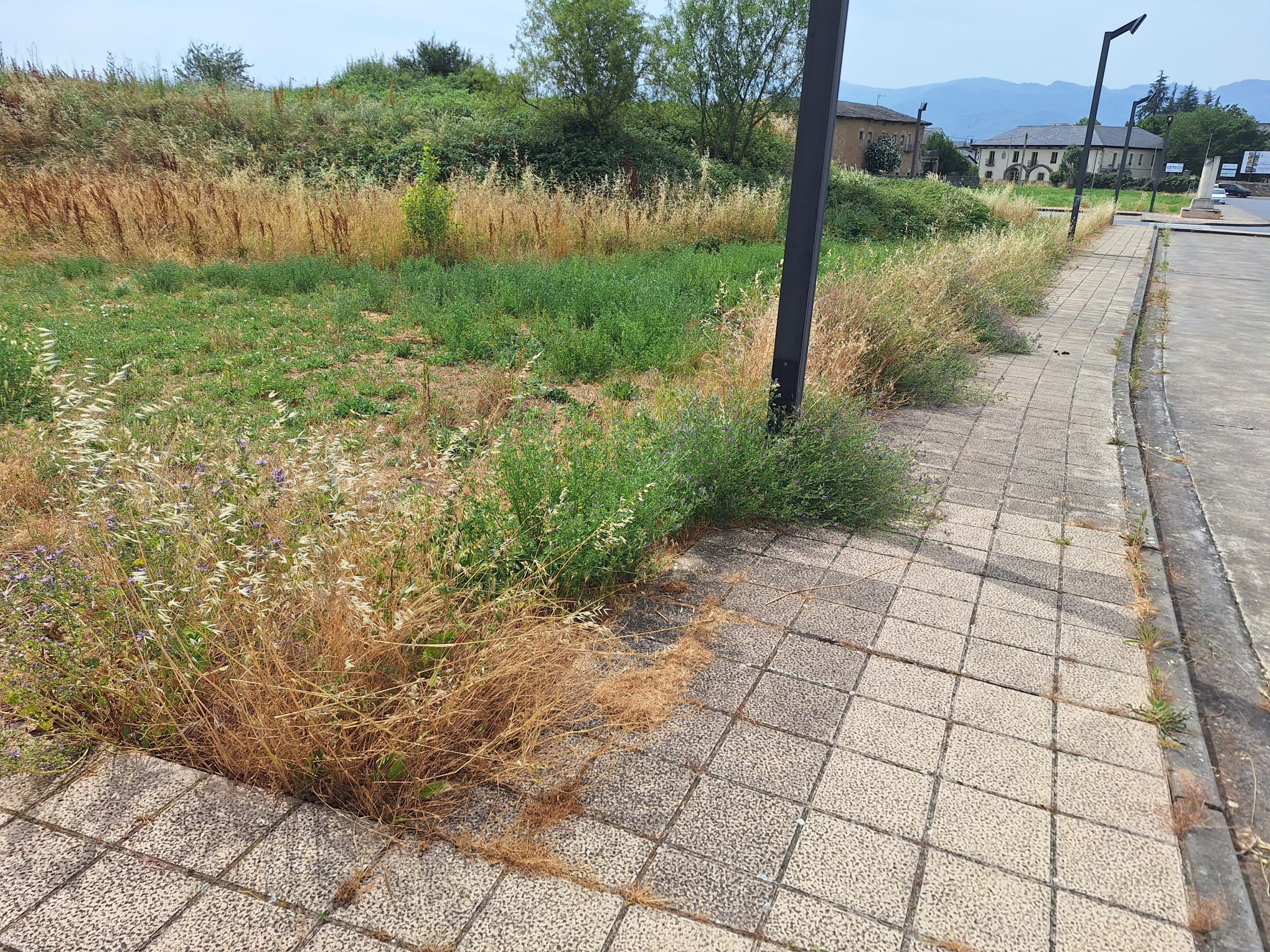 Urbanización La Cerca de Camponaraya.