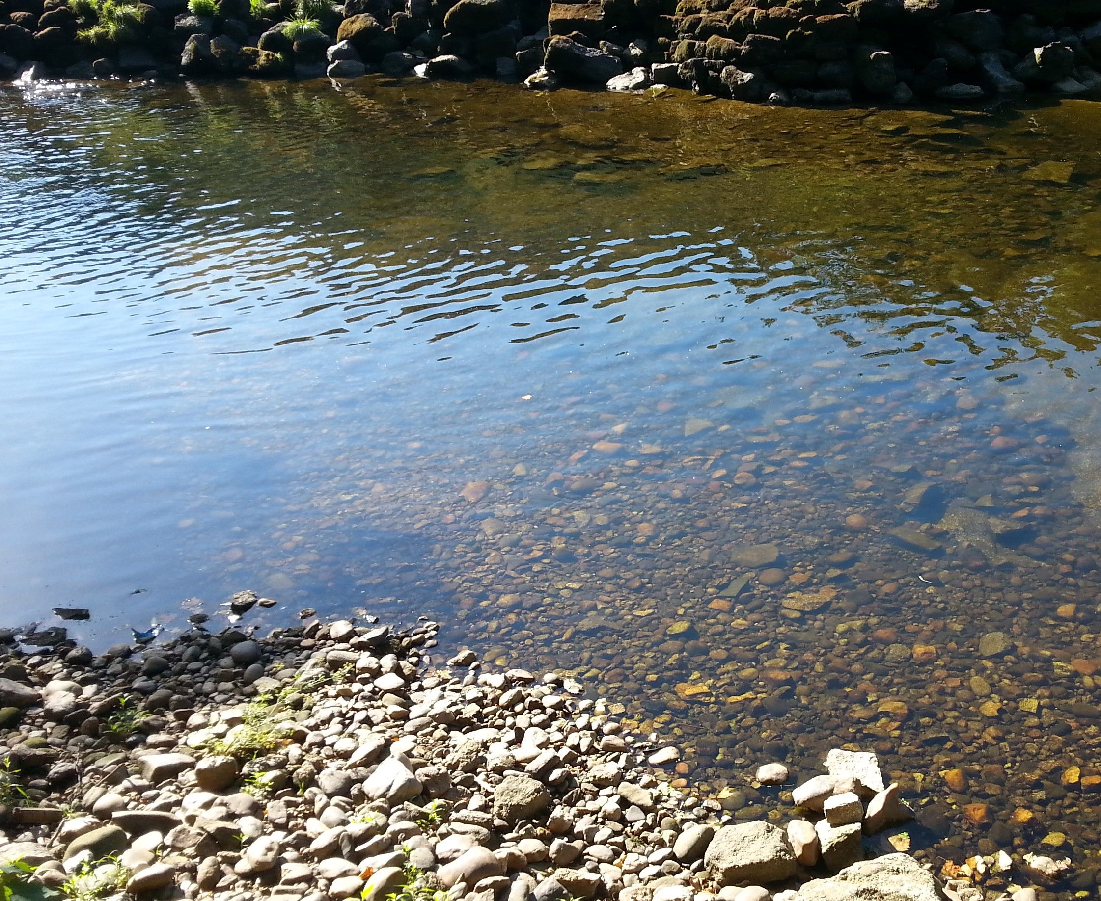 Río Boeza a su paso por Torre del Bierzo.