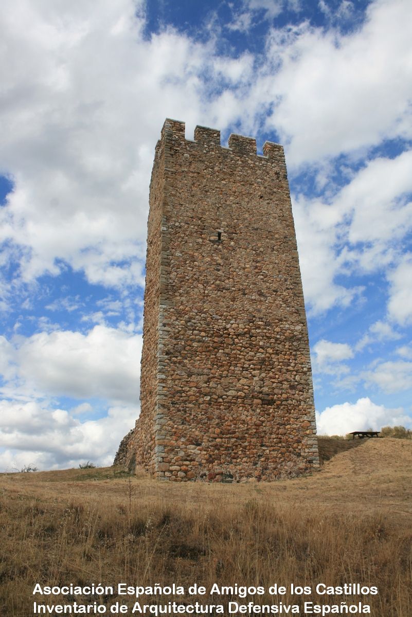 Rioseco de Tapia Un torreón almenado de gran altura que dispuso de cerca y foso. | ASOCIACIÓN ESPAÑOLA DE AMIGOS DE LOS CASTILLOS