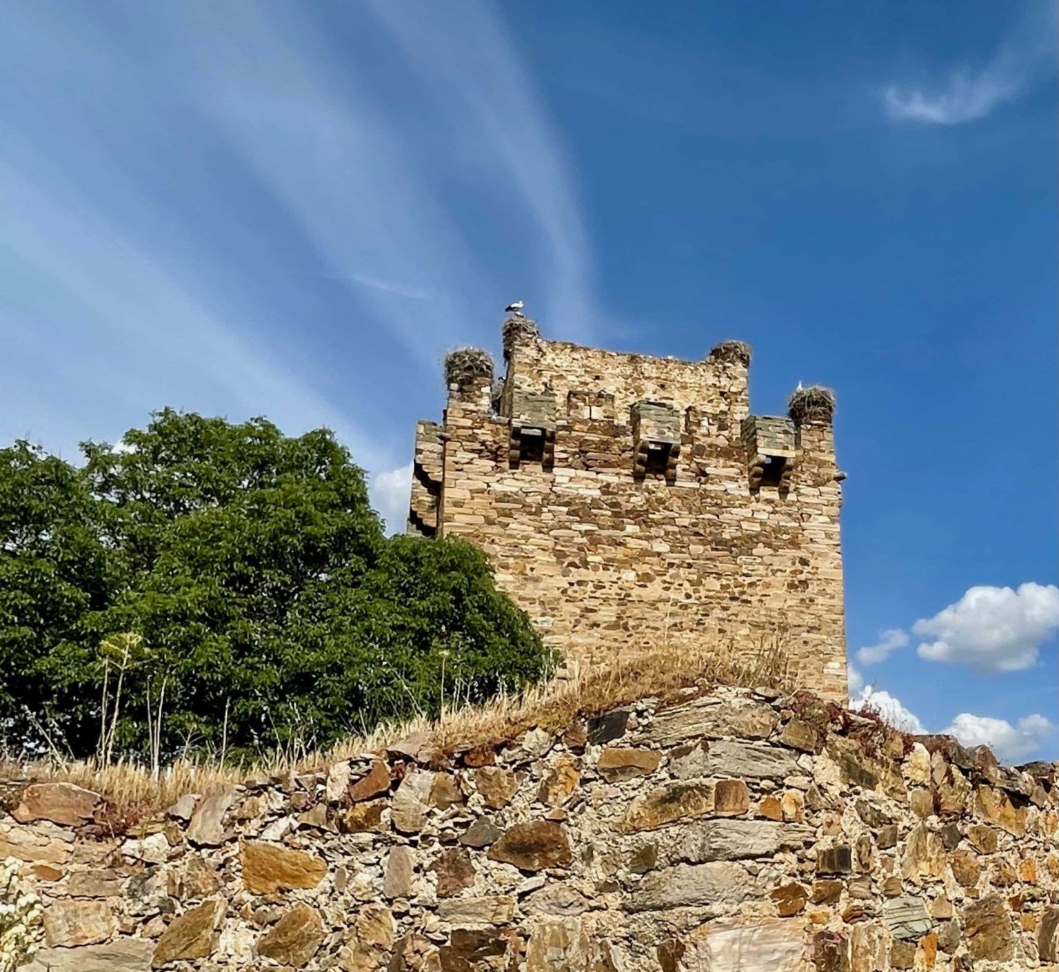 Fue declarado Bien de Interés Cultural en el año 1949, es en la actualidad de propiedad particular. | TURISLEON