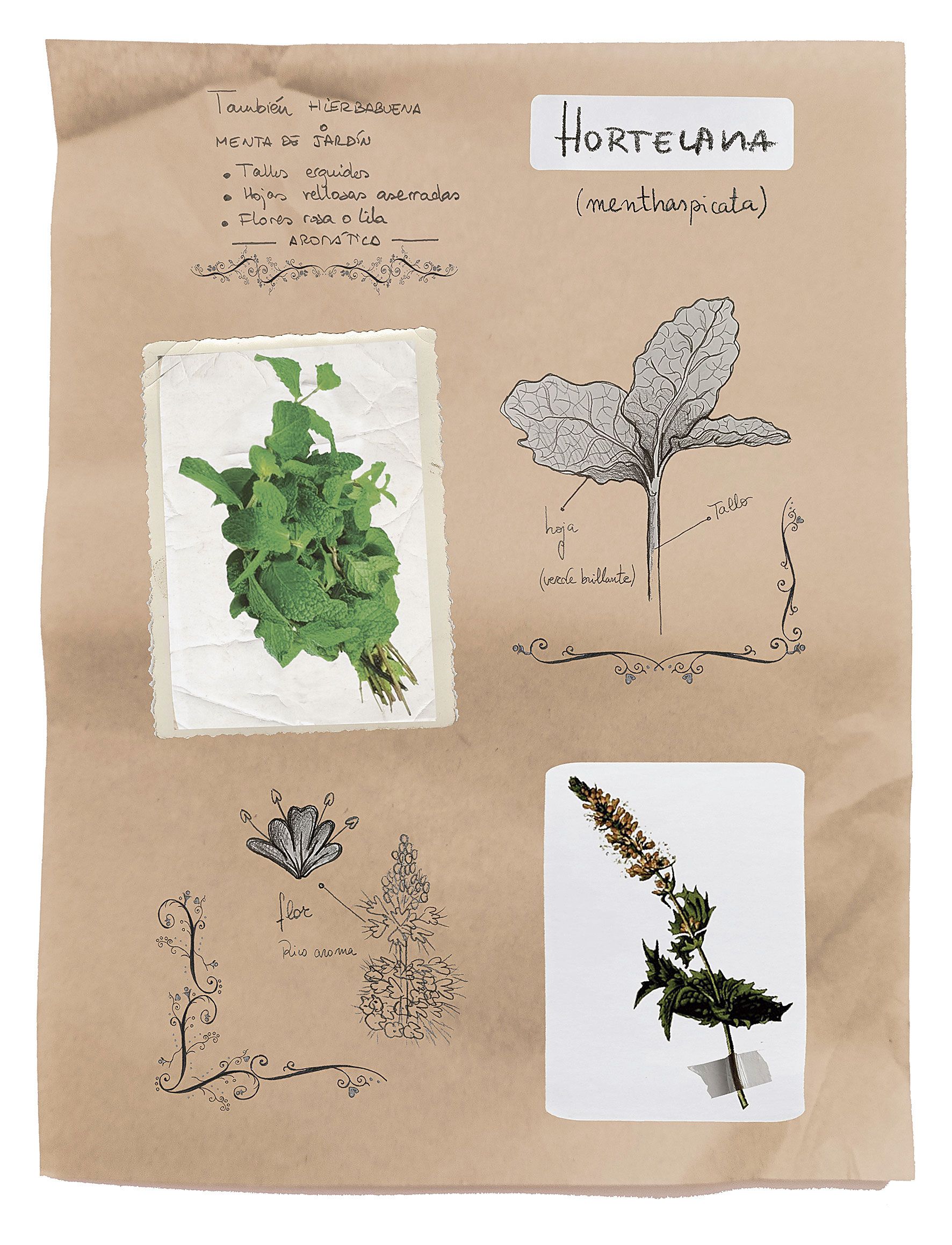 | MAIKA GARCÍA Y NOELIA GARCÍA