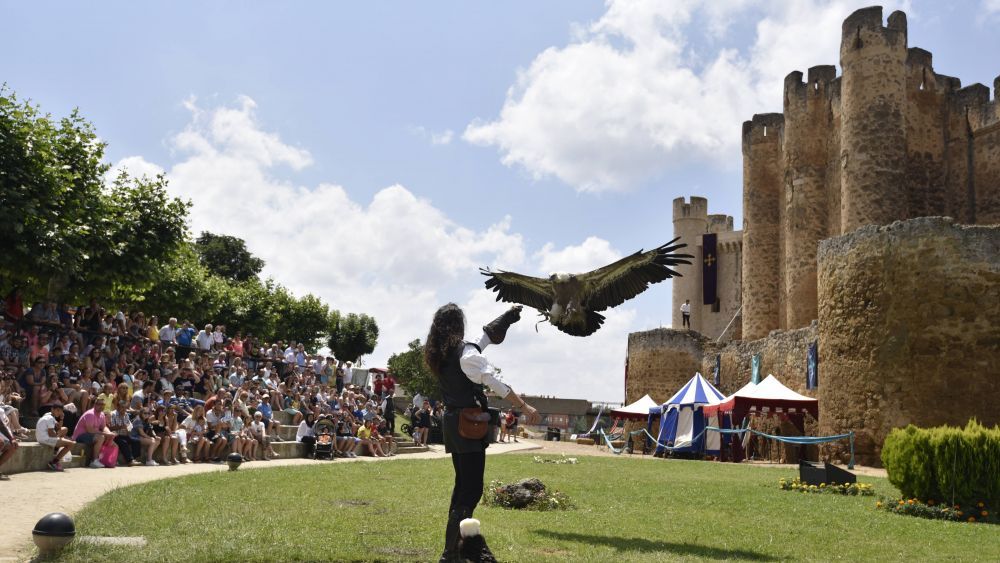 Las exhibiciones de cetrería no faltarán tampoco este año. | SAÚL ARÉN