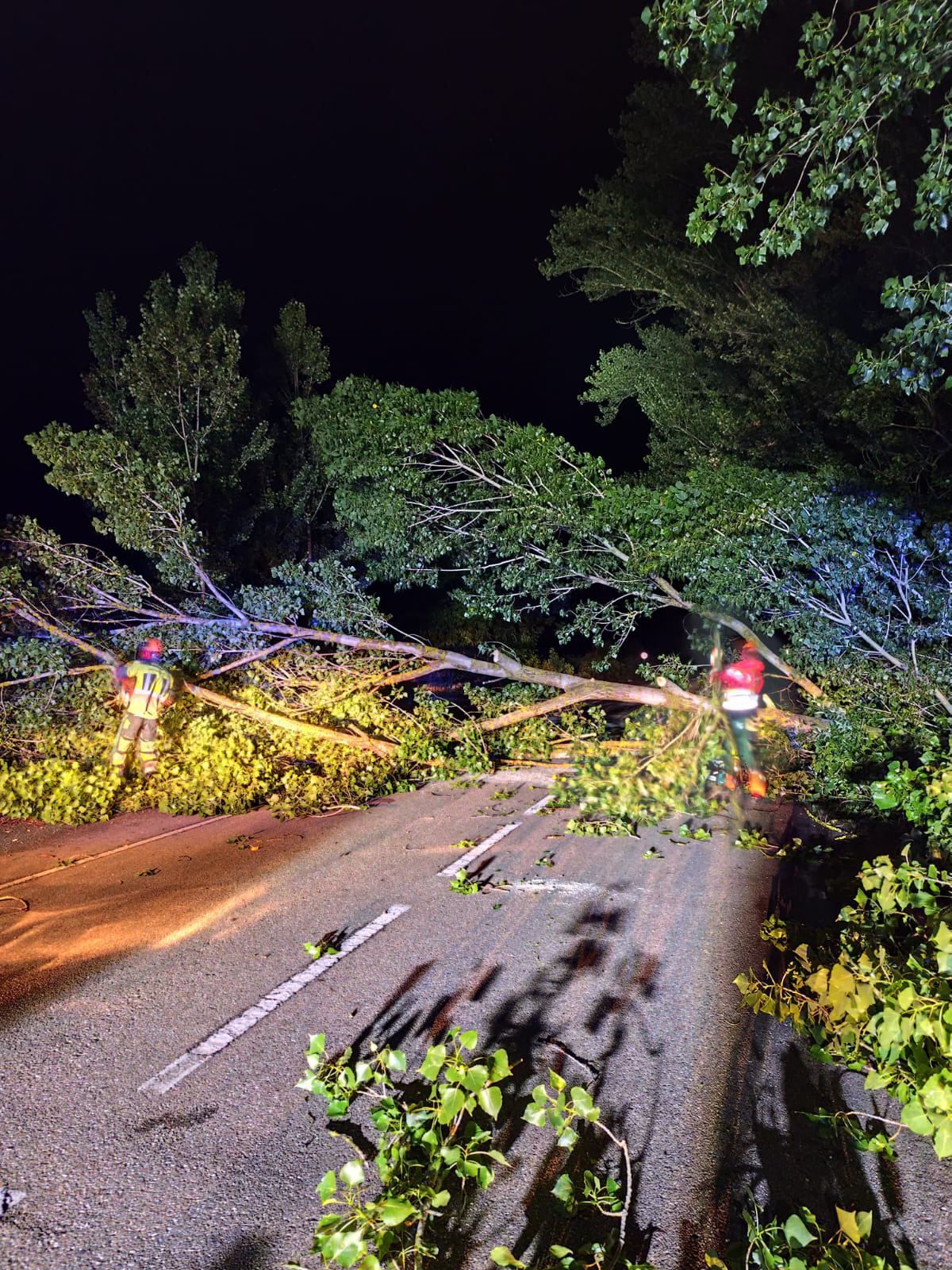 515516194 1054892240165027 8375996174658891464 n