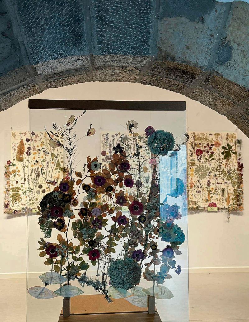 Imagen Exposicion flores secas La Vid 2. Imagen Exposicion flores secas La Vid 2.