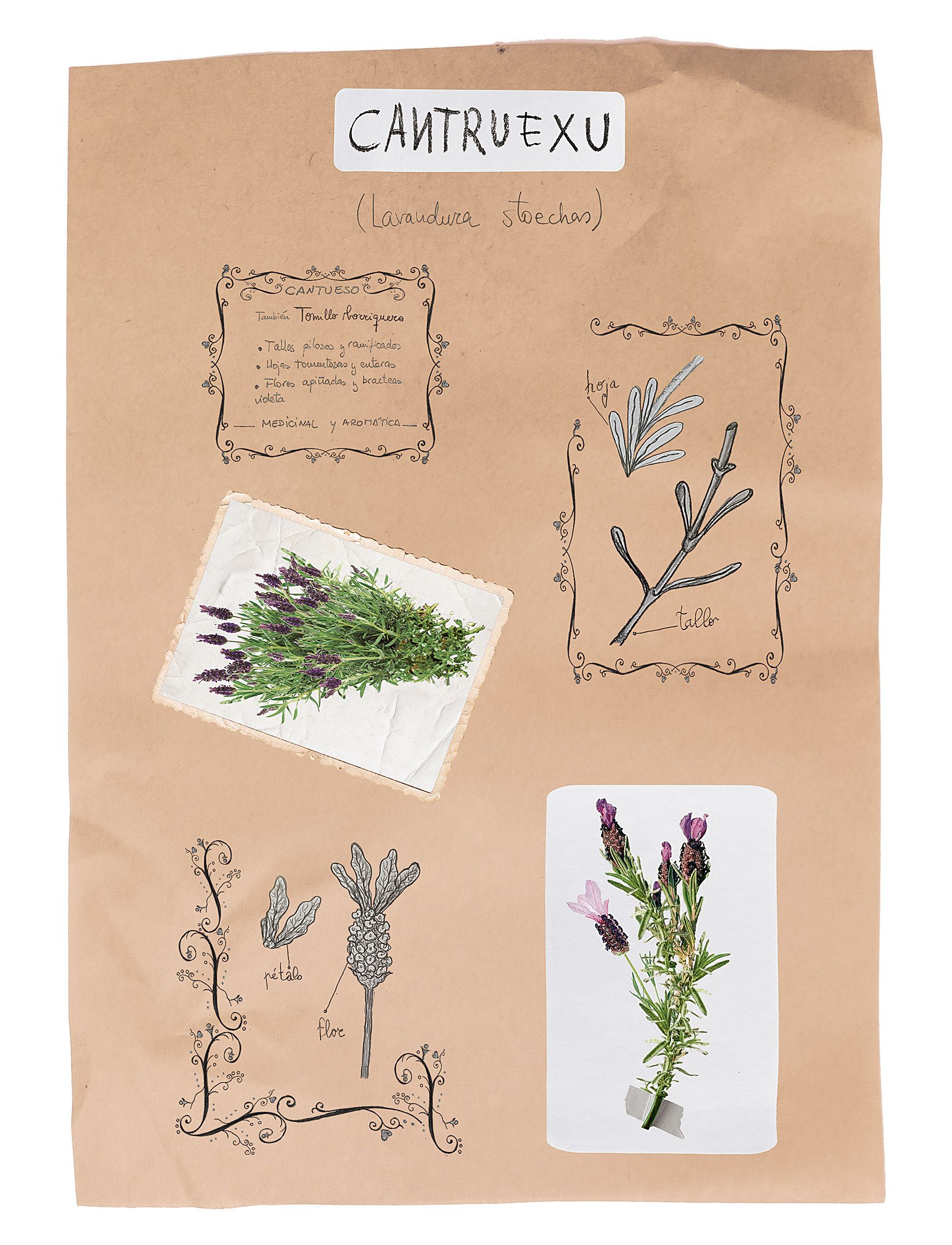 | MAIKA GARCÍA Y NOELIA GARCÍA