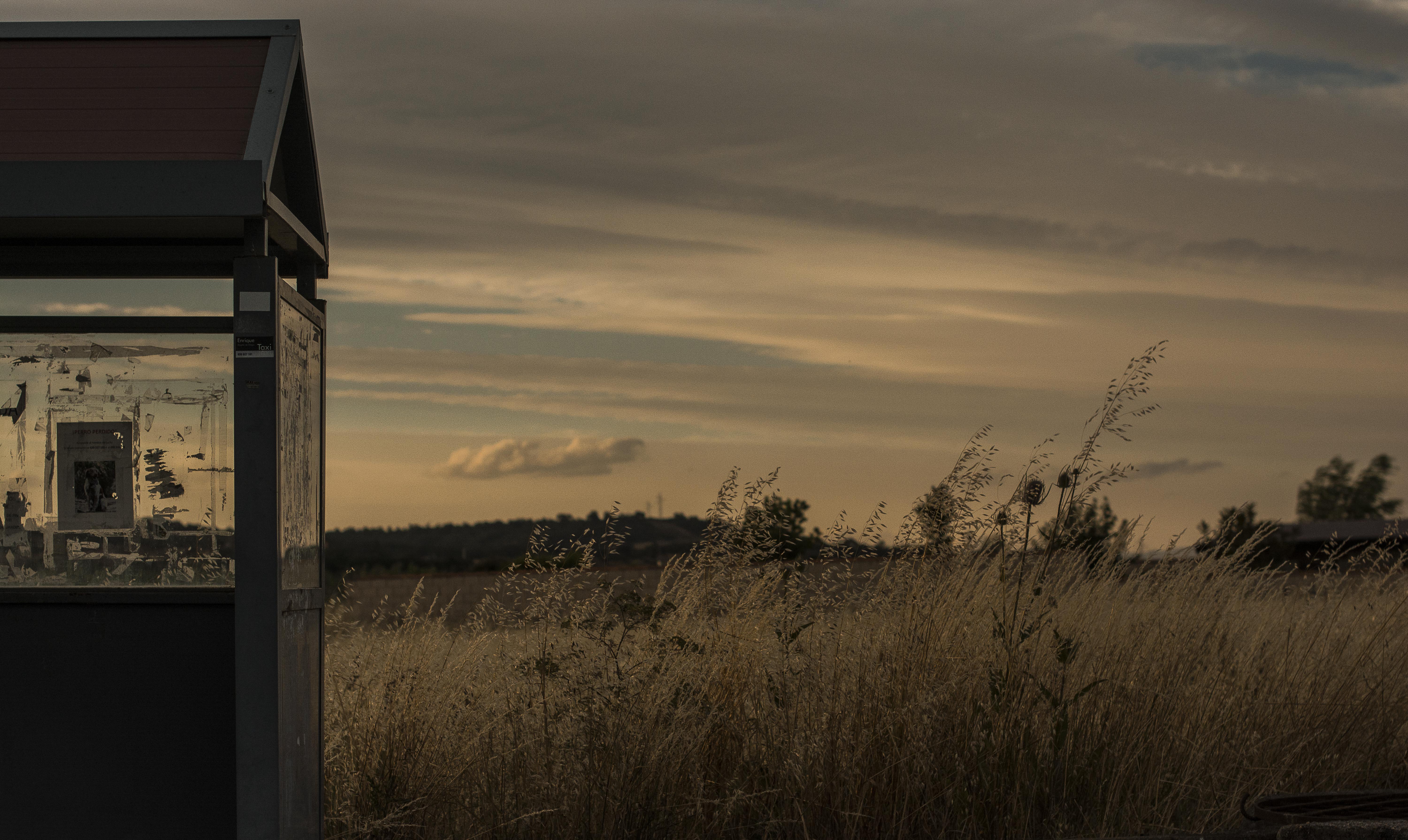 'El final del verano' de Esperanza Labrador Rodríguez, primer premio del certamen. 