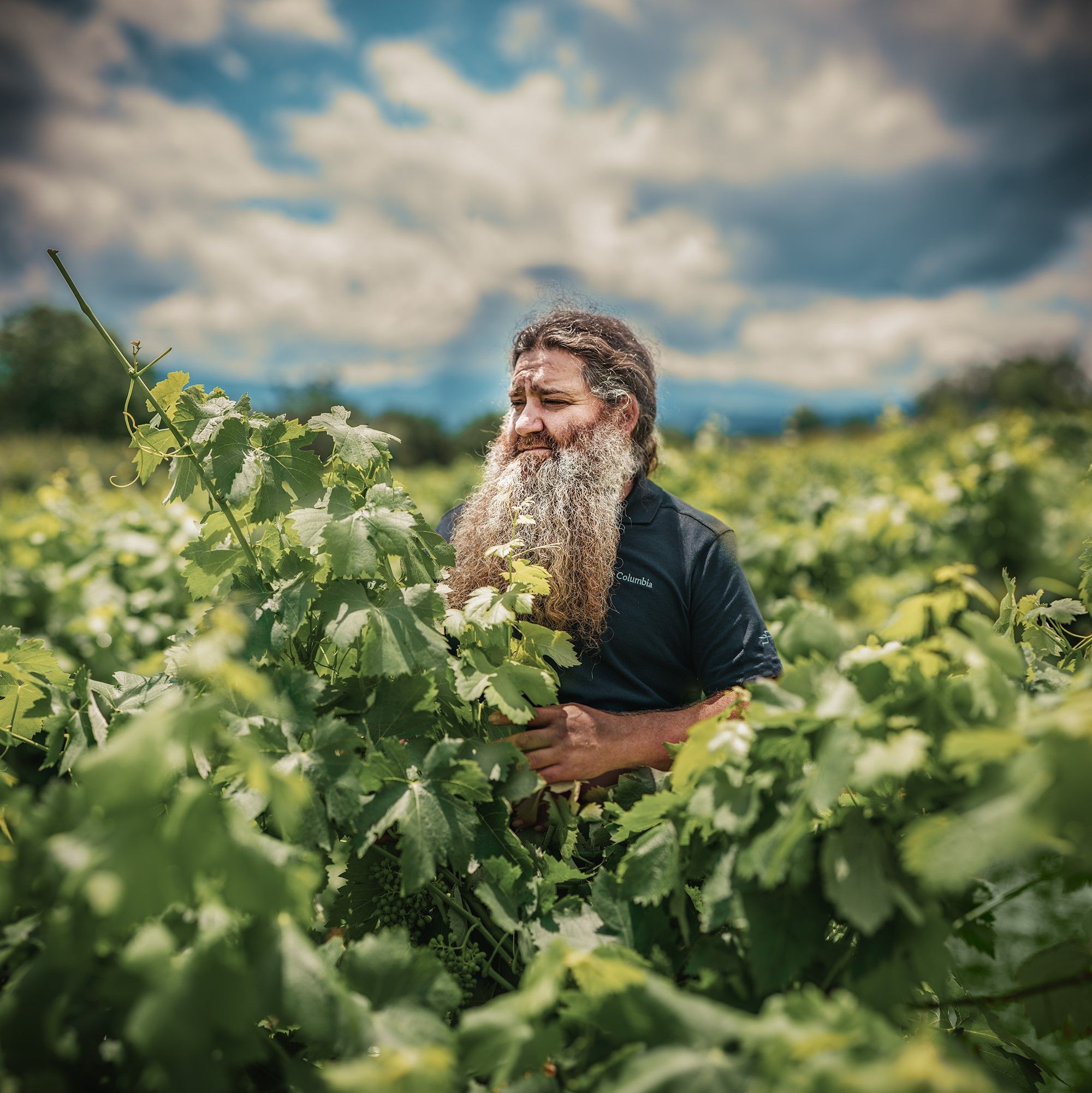 El enólogo berciano Raúl Pérez.