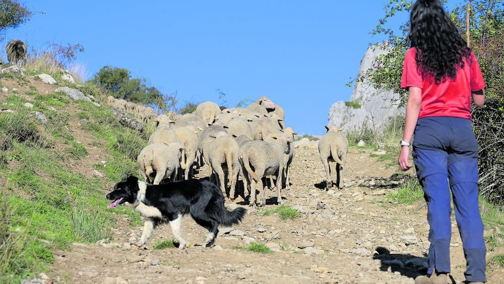 El programa girará en torno a cultura de la trashumancia. | MAURICIO PEÑA