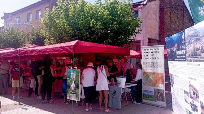 La plaza Cardenal Aguirre acogió un mercado durante la joranda.