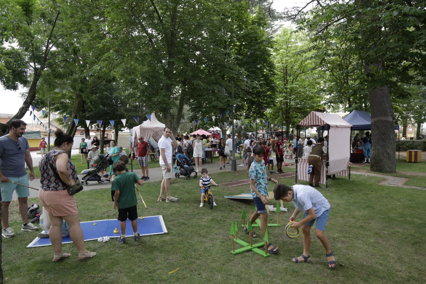 Feria del Circo en Valencia de Don Juan 2025.