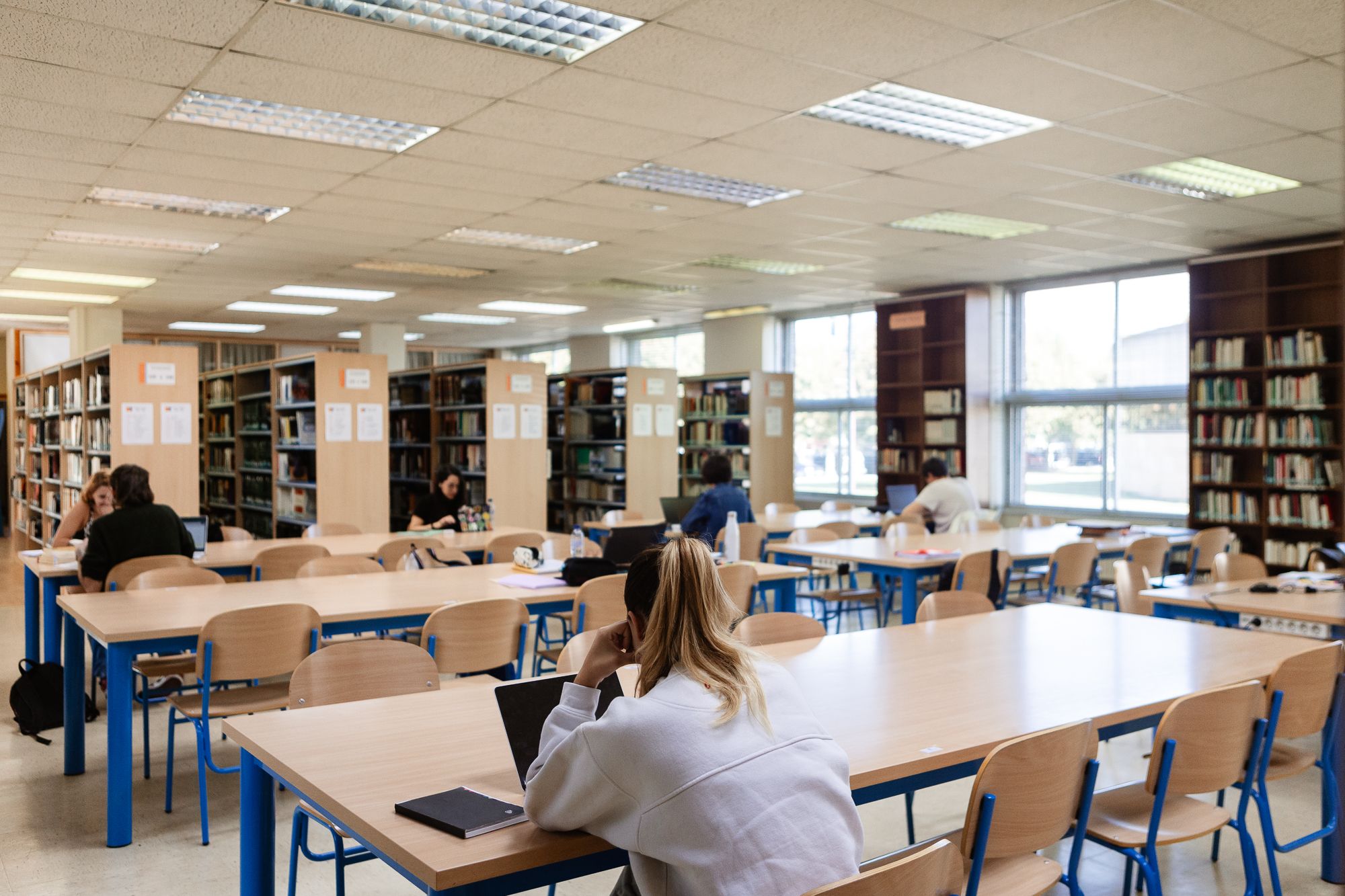 Imagen de archivo de una alumna estudiando en el Campus de Vegazana de la ULE. | L.N.C.