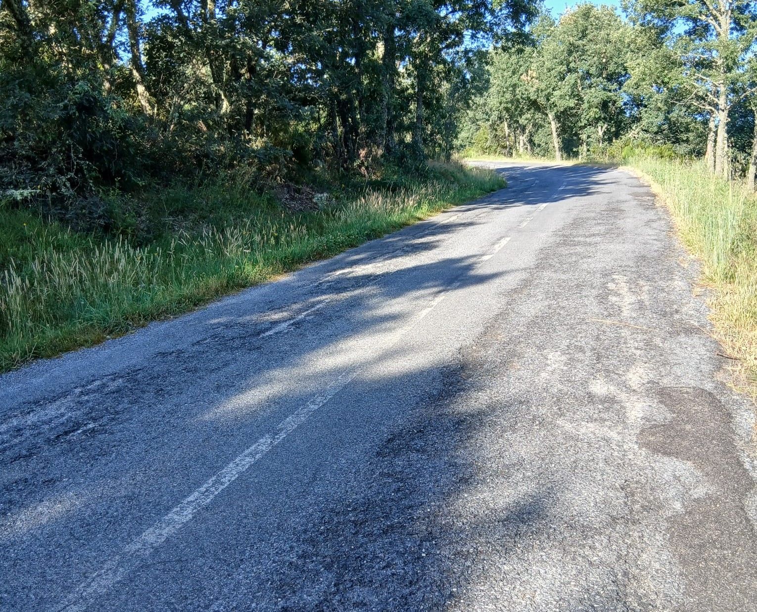 Carretera LE-5402 entre Vanidodes y Combarros. | L.N.C.