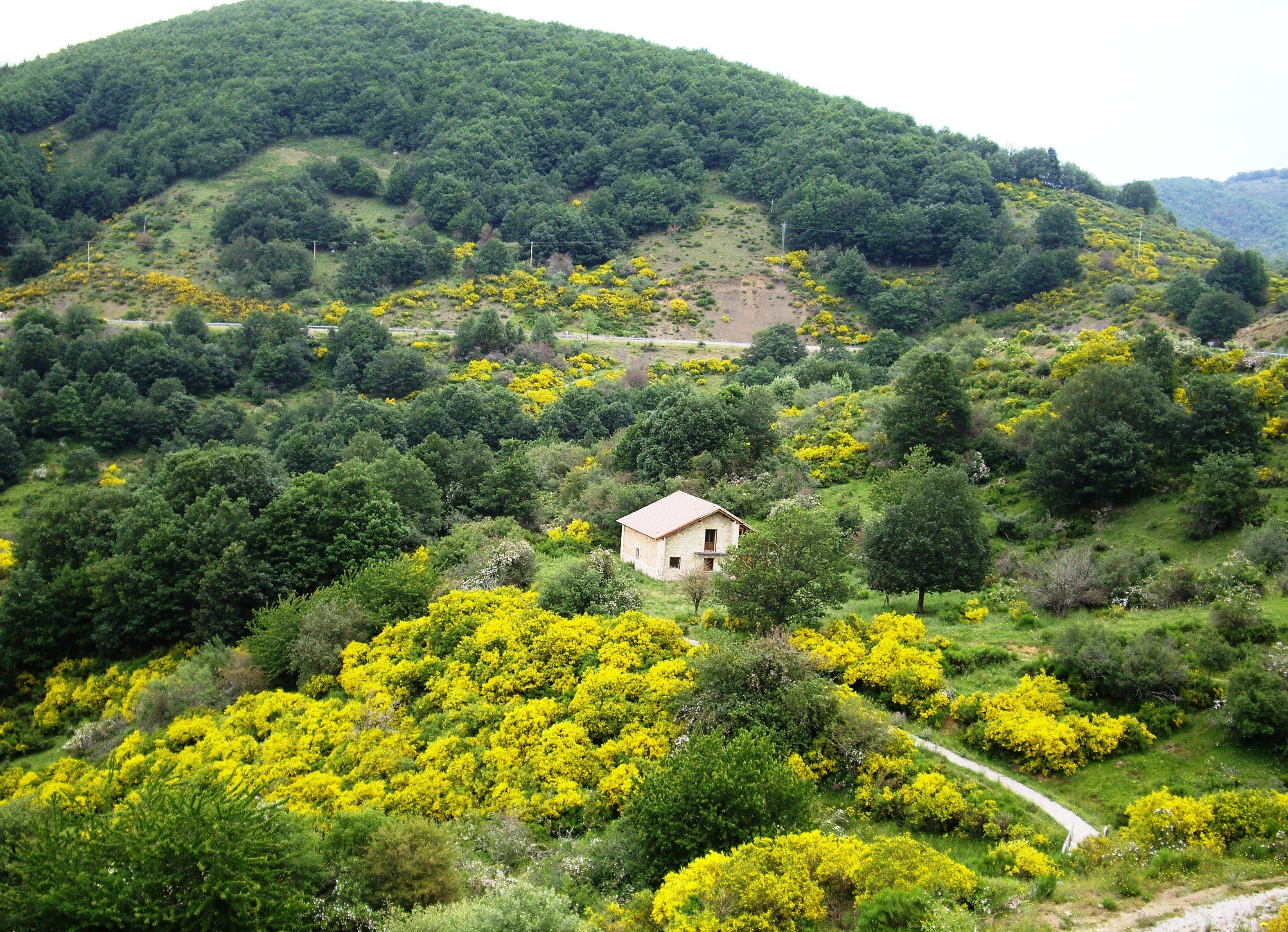 Imagen de la zona de Saguas, a escasos metros de Riaño.