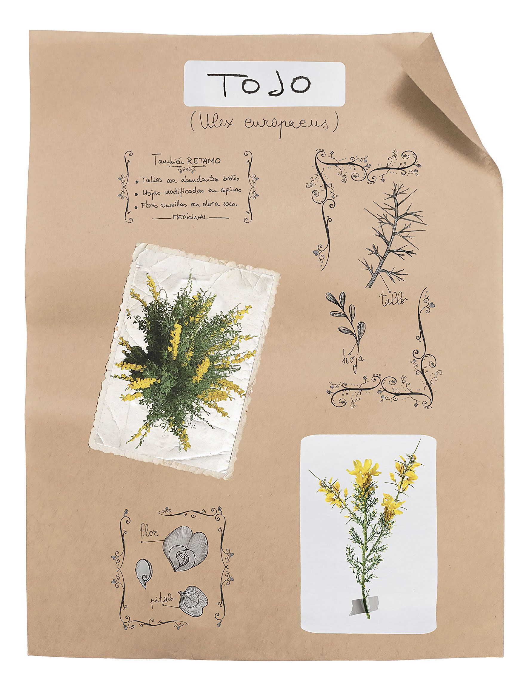 | MAIKA GARCÍA Y NOELIA GARCÍA