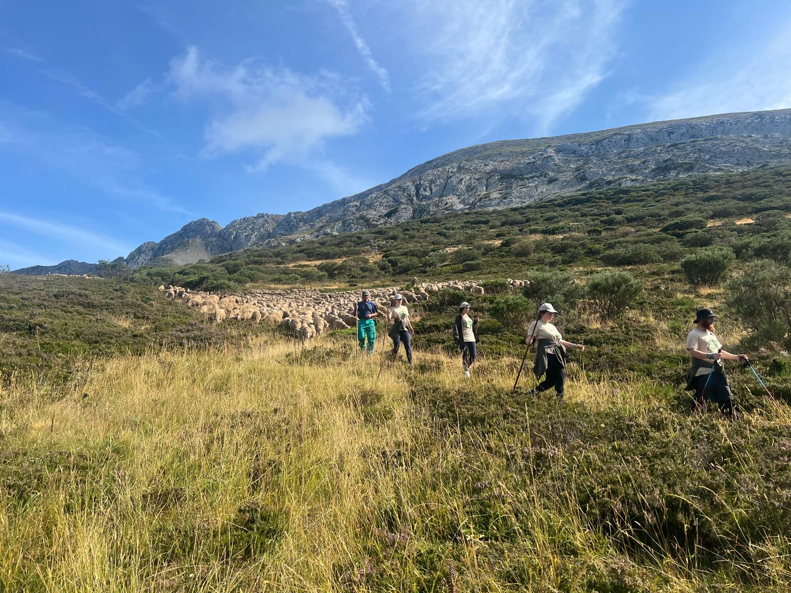 Aventura trashumante en La Cueta de Babia (2)