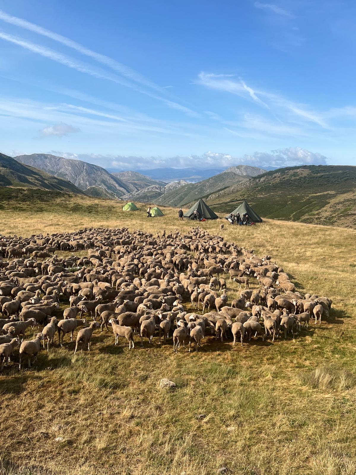Aventura trashumante en La Cueta de Babia (6)