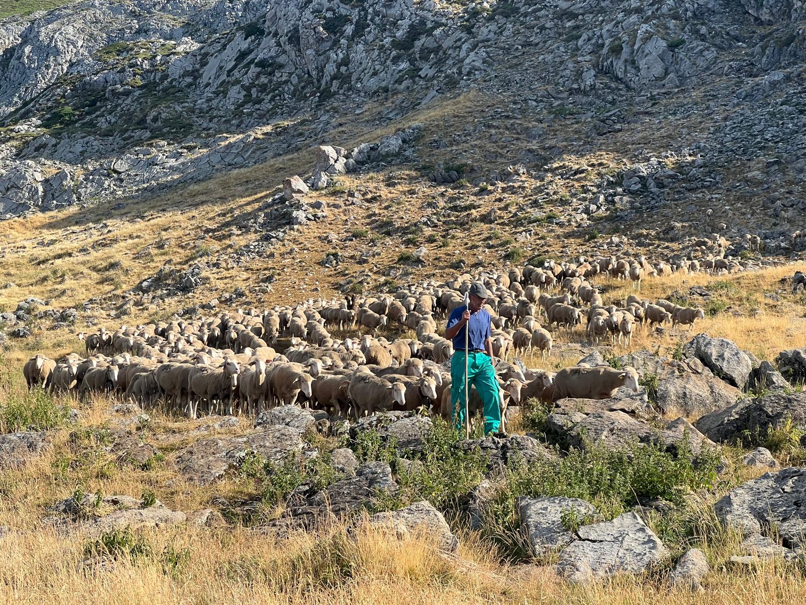Aventura trashumante en La Cueta de Babia (9)